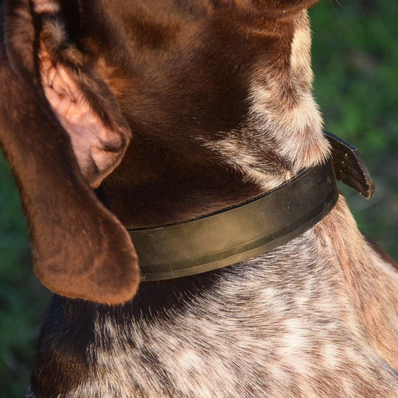 DOGBELT - Dog collar made of car tyre - LA VIE EST BELT